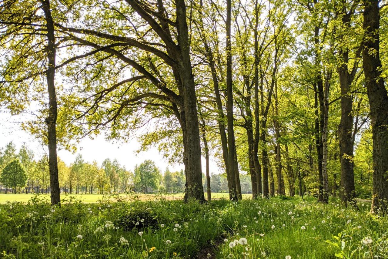 Camping De Vinkenkamp Lieren Екстериор снимка